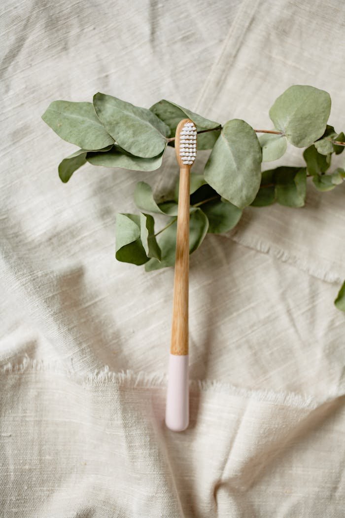 A Wooden Toothbrush on Green Leaves